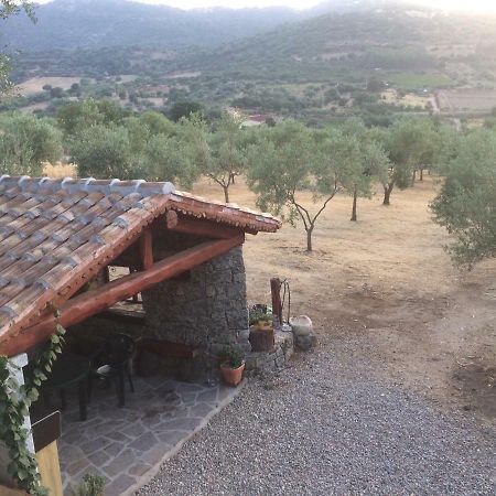 Vila S'Umbra De S'Ozzastru Orgosolo Exteriér fotografie