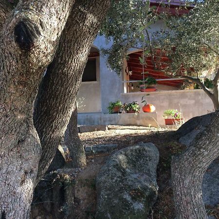 Vila S'Umbra De S'Ozzastru Orgosolo Exteriér fotografie