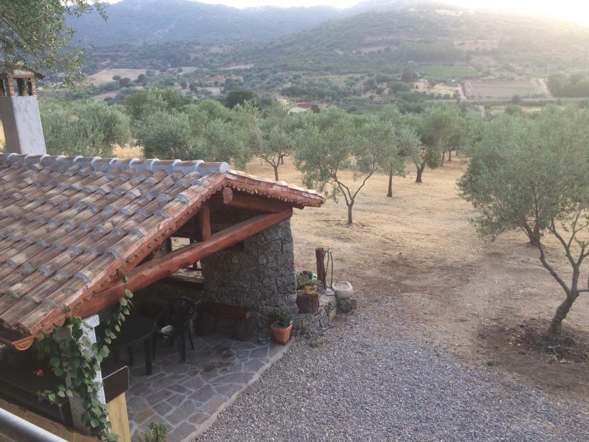 Vila S'Umbra De S'Ozzastru Orgosolo Exteriér fotografie