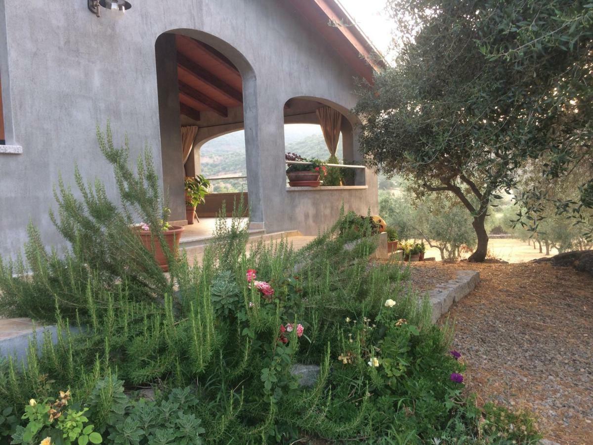 Vila S'Umbra De S'Ozzastru Orgosolo Exteriér fotografie