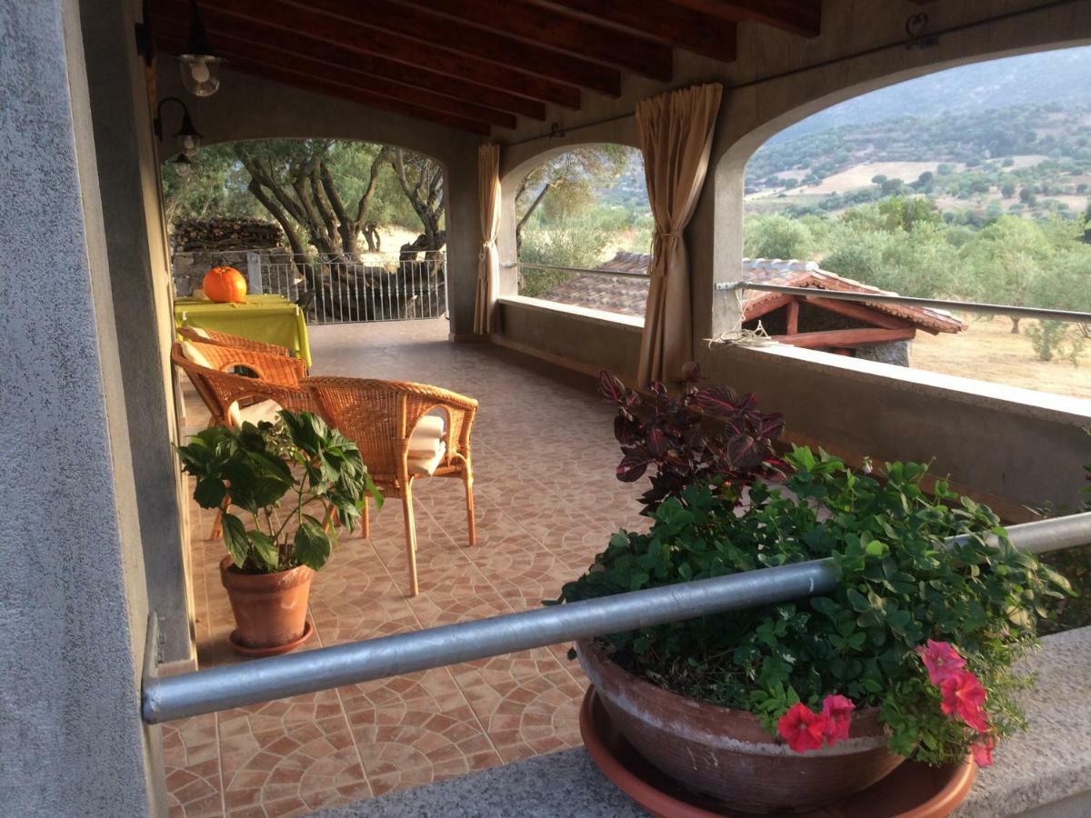 Vila S'Umbra De S'Ozzastru Orgosolo Exteriér fotografie