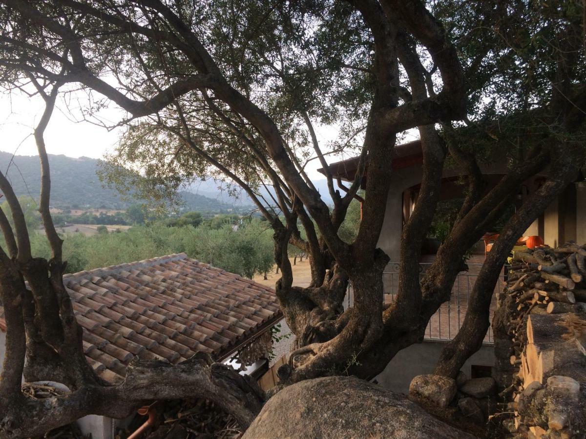 Vila S'Umbra De S'Ozzastru Orgosolo Exteriér fotografie