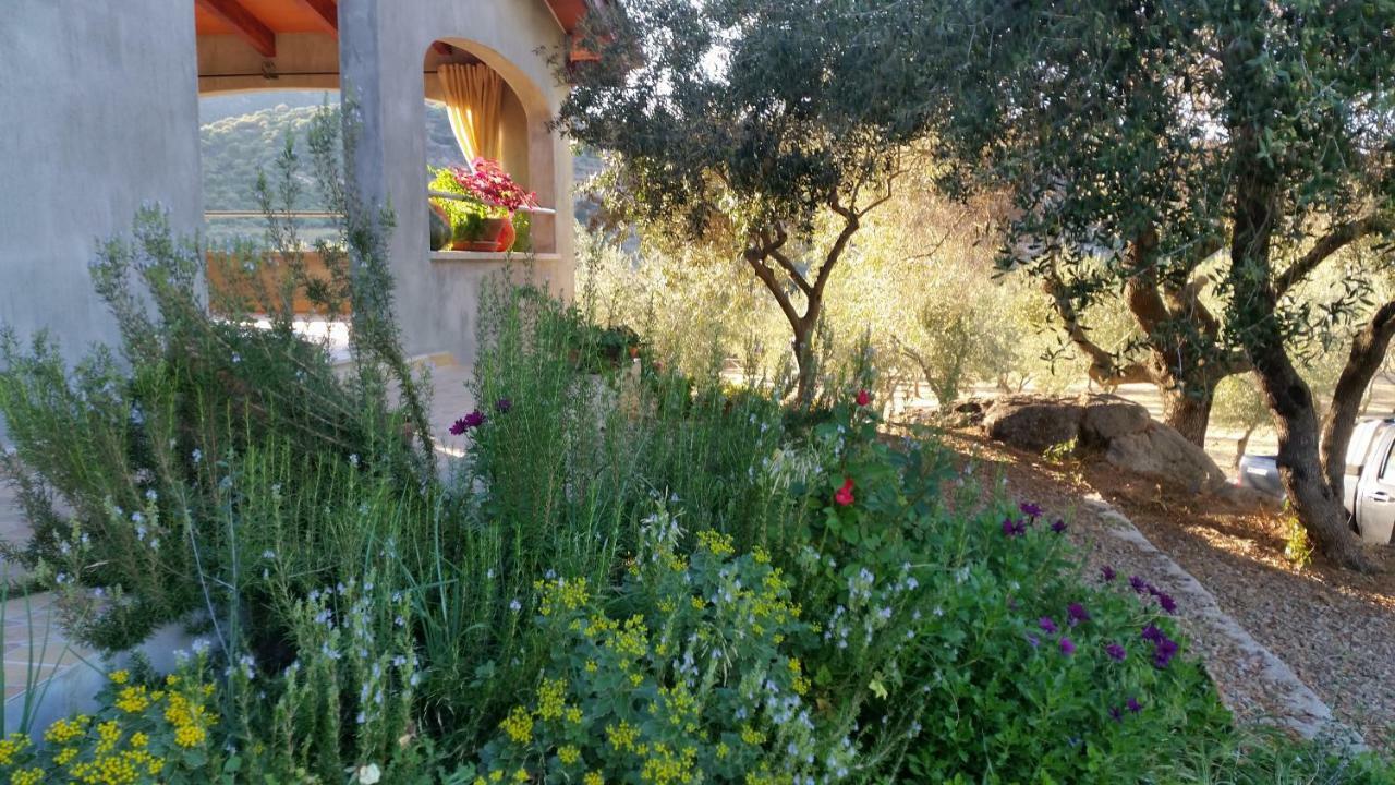 Vila S'Umbra De S'Ozzastru Orgosolo Exteriér fotografie