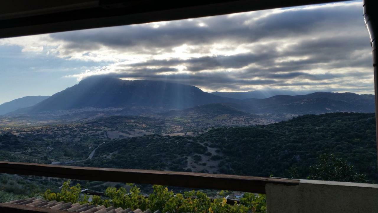 Vila S'Umbra De S'Ozzastru Orgosolo Exteriér fotografie